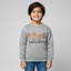 Light Grey Collect Fur & Fleece Fabric Sweatshirt