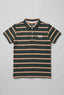 Green WIth Brown Stripes Polo For Boys