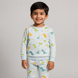 Sky Blue Dino Print Fleece Fabric Suit For Winters
