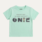 Turquoise One Print Half Sleeves T-Shirt For Boys