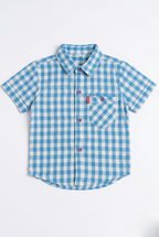 Blue & White Checkered Half Sleeves Casual Shirt