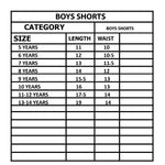 Load image into Gallery viewer, TRIPLE SHADED COLOR DOUBLE POCKETS SHORTS FOR BOYS
