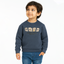 Blue Lucley Fur & Fleece Fabric Sweatshirt