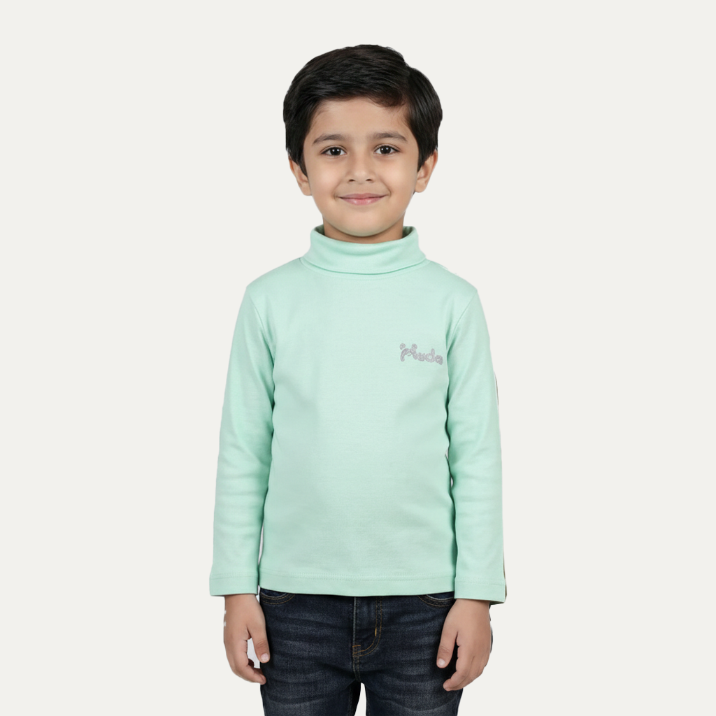 Sky Blue Panda HighNeck For Winters Main image