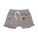 HAZEL GREY LION PRINTED SHORT FOR BOYS