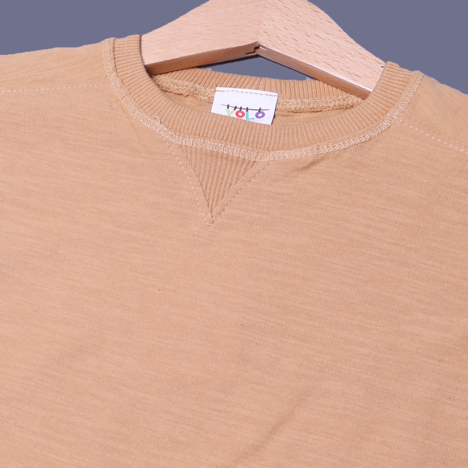 LIGHT BROWN PLAIN HALF SLEEVES T-SHIRT Secondary image
