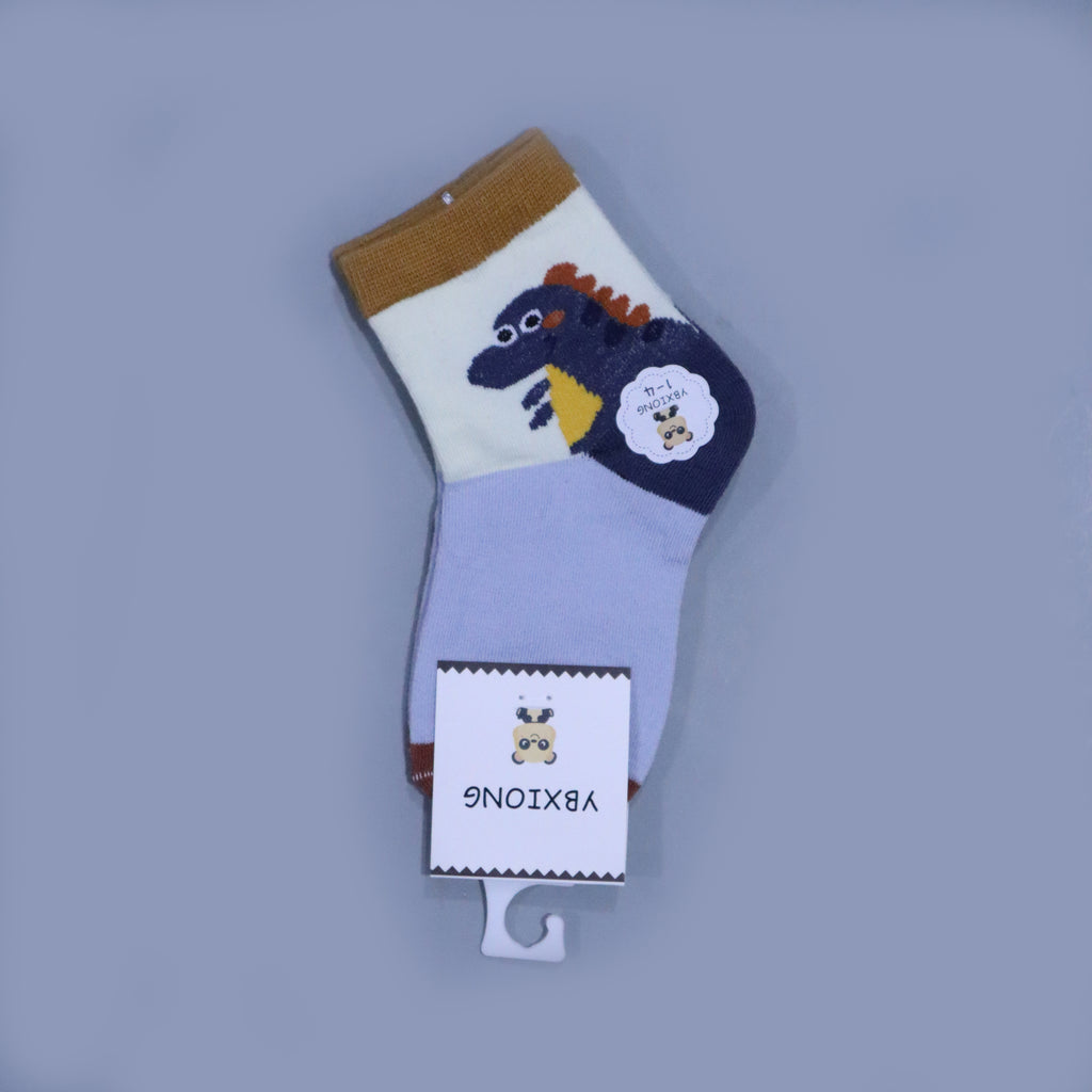 MIX DESIGNS SOCKS FOR BOYS