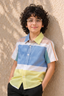 Multi Colors Half Sleeves Casual Shirt