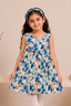 Cream With Blue Flowers Print With Hair Band Frock For Girls