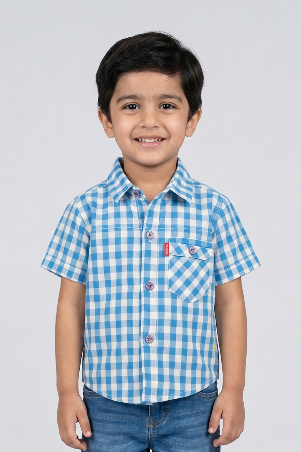 Blue & White Checkered Half Sleeves Casual Shirt