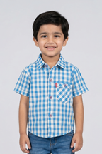 Blue & White Checkered Half Sleeves Casual Shirt