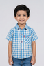 Blue & White Checkered Half Sleeves Casual Shirt
