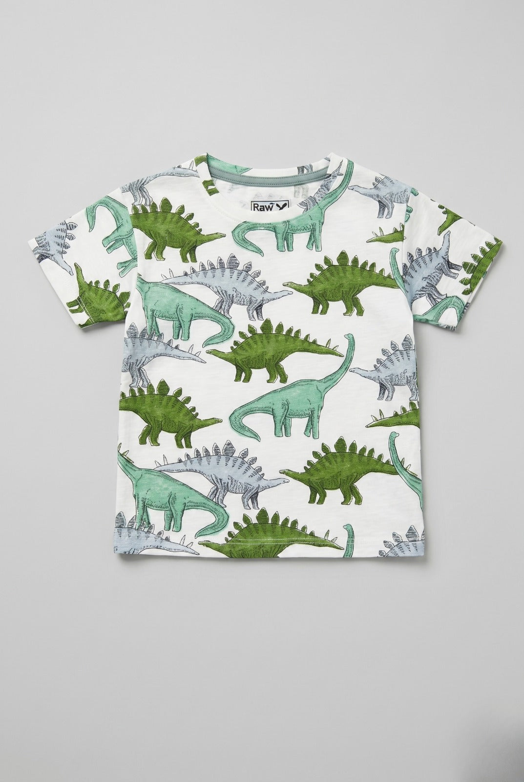 White Dino Print Half Sleeves T-Shirt For Boys