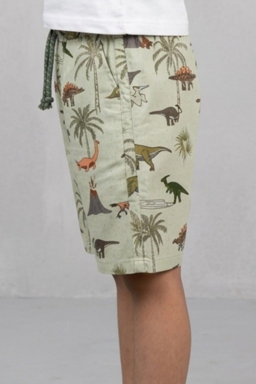 Green Dino Print Cotton Fabric Shorts For Unisex