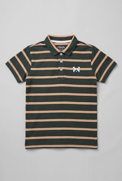 Green WIth Brown Stripes Polo For Boys
