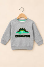 Grey Dino Cloud Weave Fabric Sweatshirt