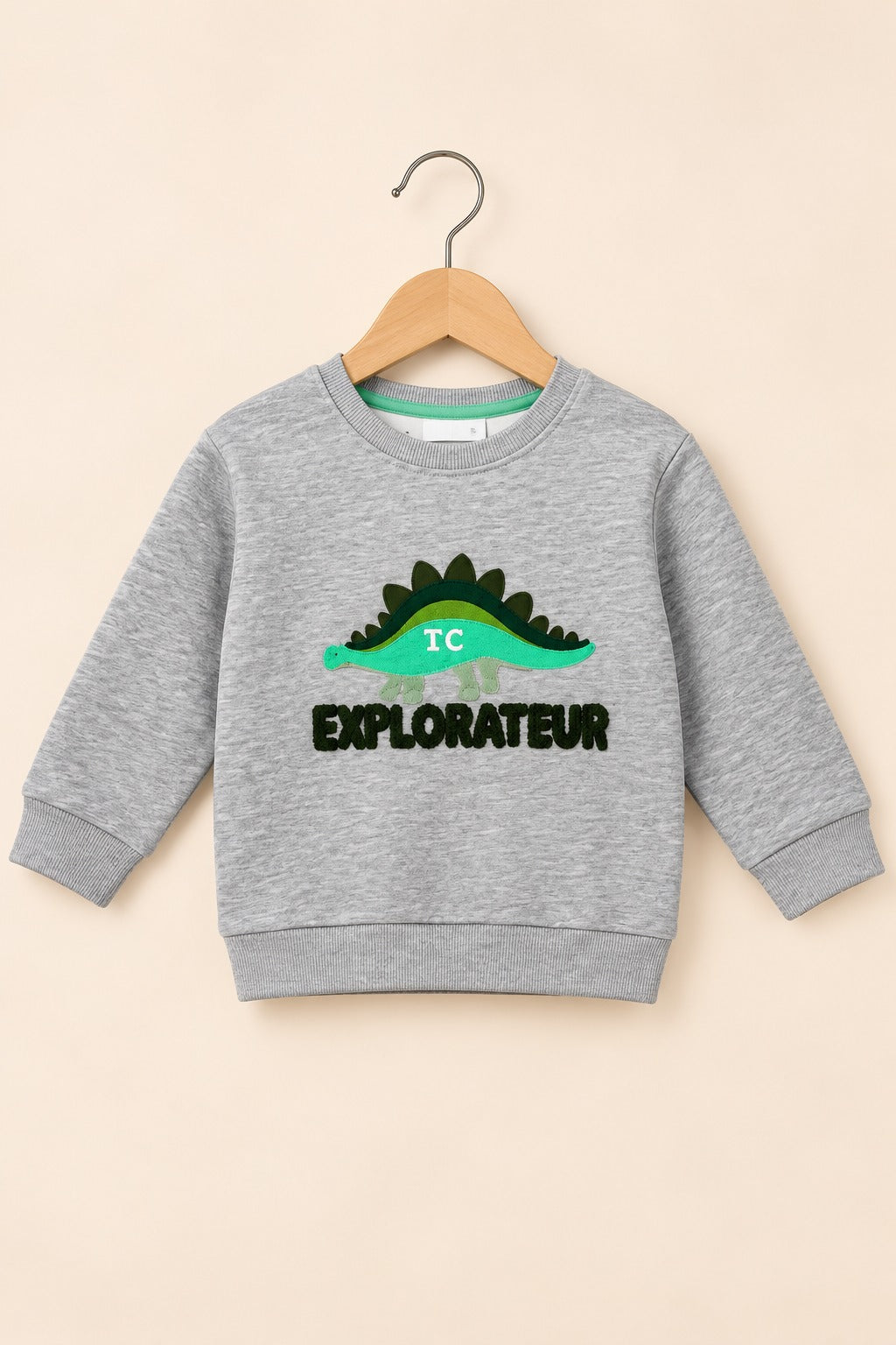 Grey Dino Cloud Weave Fabric Sweatshirt