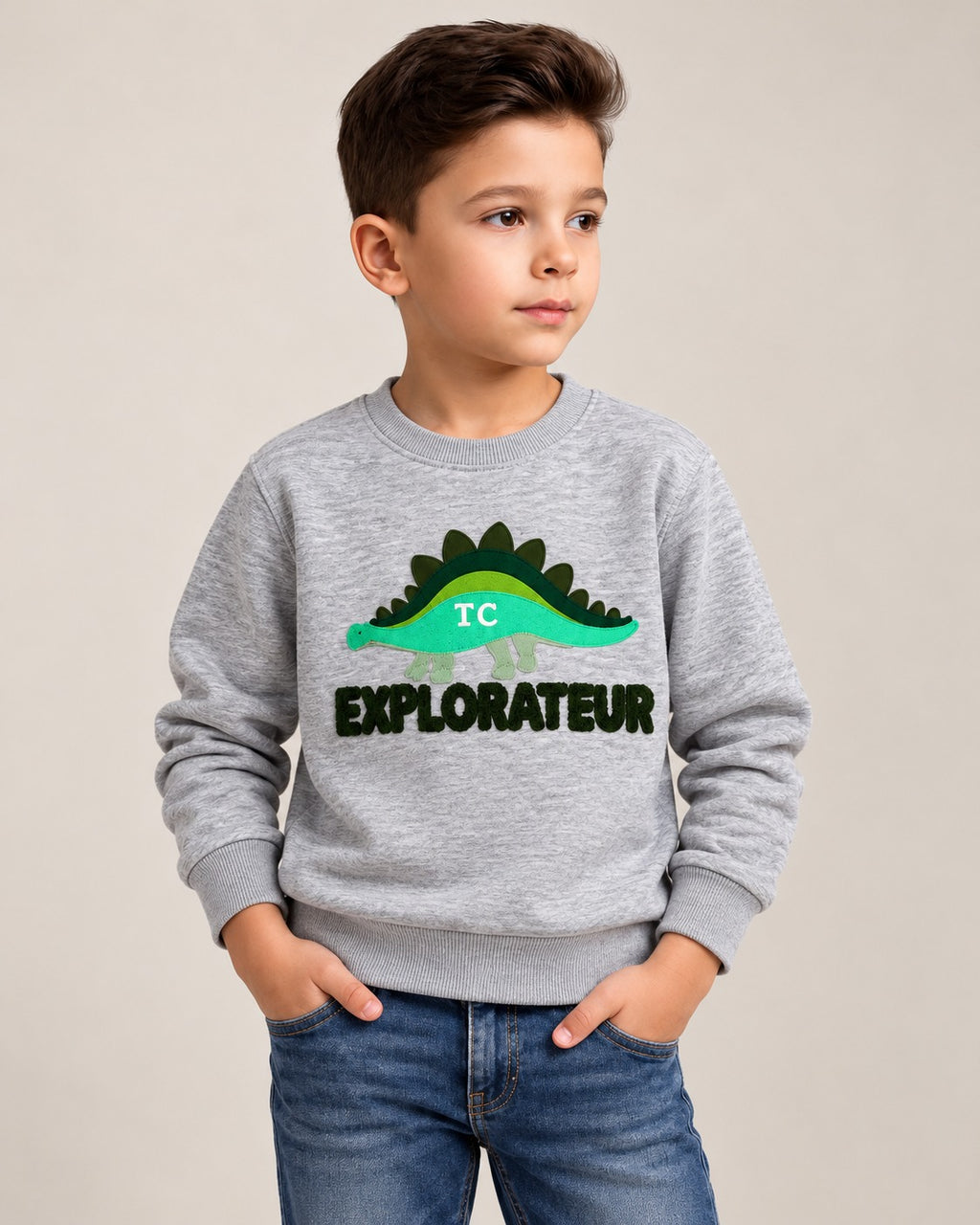 Grey Dino Cloud Weave Fabric Sweatshirt