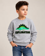 Grey Dino Cloud Weave Fabric Sweatshirt