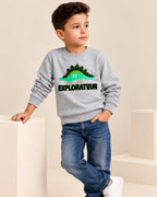 Grey Dino Cloud Weave Fabric Sweatshirt